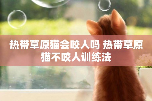 熱帶草原貓會咬人嗎 熱帶草原貓不咬人訓練法