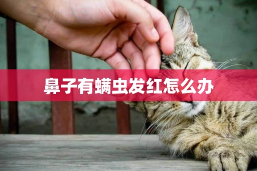 鼻子有螨蟲發紅怎么辦