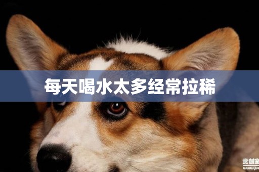 每天喝水太多經常拉稀