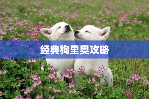 經典狗里奧攻略