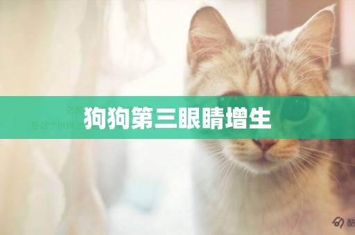 狗狗第三眼睛增生