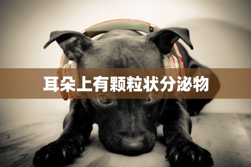 耳朵上有顆粒狀分泌物