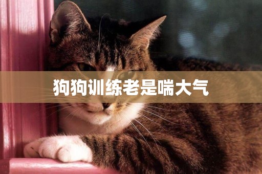 狗狗訓練老是喘大氣