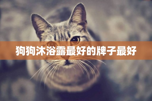 狗狗沐浴露最好的牌子最好