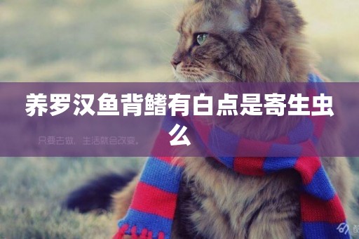 養羅漢魚背鰭有白點是寄生蟲么