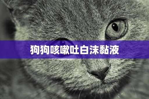 狗狗咳嗽吐白沫黏液
