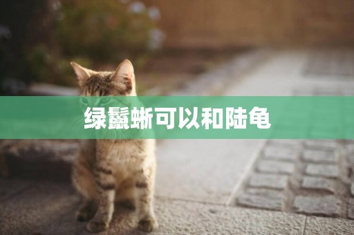 綠鬣蜥可以和陸龜