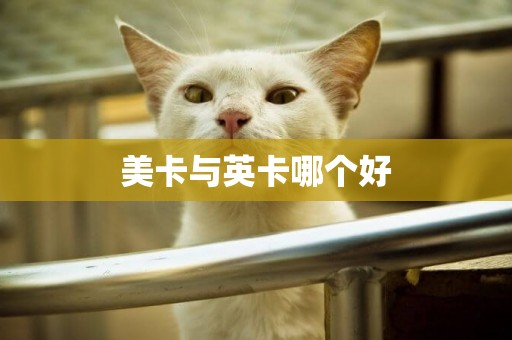美卡與英卡哪個好