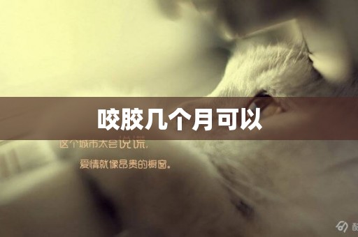 咬膠幾個月可以