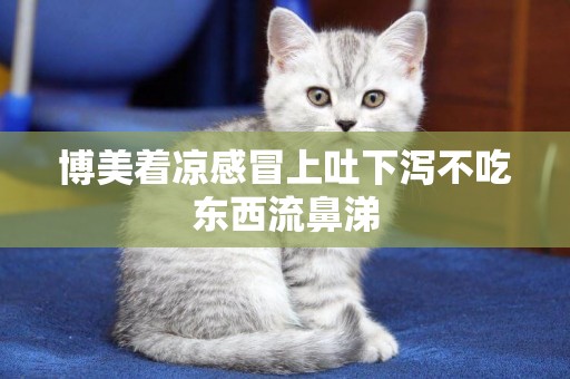 博美著涼感冒上吐下瀉不吃東西流鼻涕