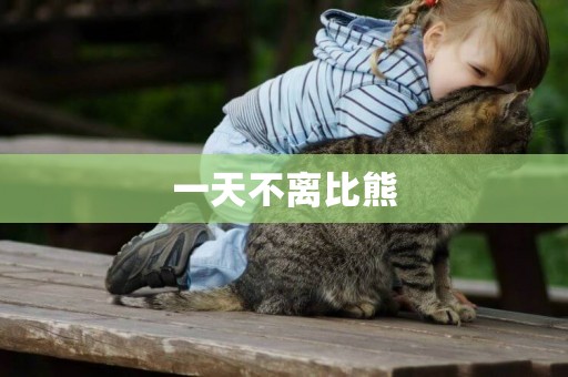 一天不離比熊