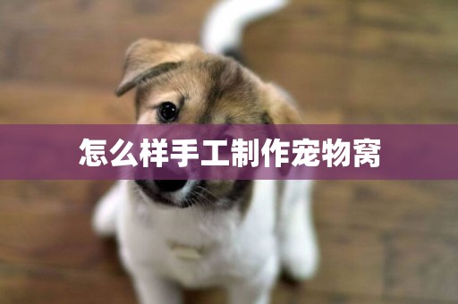 怎么樣手工制作寵物窩