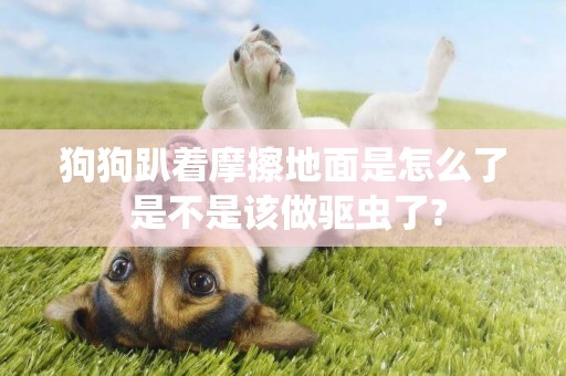 狗狗趴著摩擦地面是怎么了 是不是該做驅蟲了?