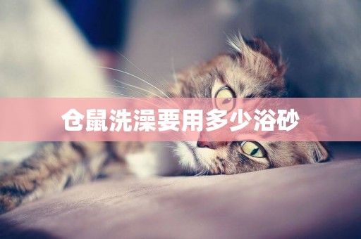 倉鼠洗澡要用多少浴砂