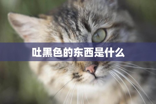 吐黑色的東西是什么