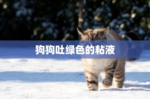 狗狗吐綠色的粘液