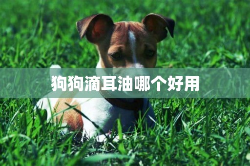 狗狗滴耳油哪個好用