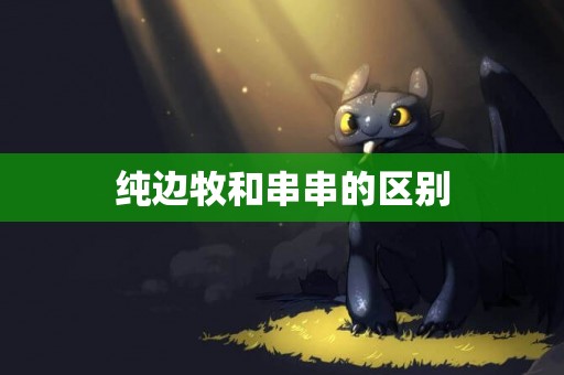 純邊牧和串串的區別