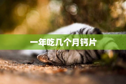 一年吃幾個月鈣片