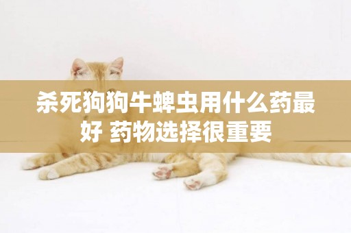 殺死狗狗牛蜱蟲用什么藥最好 藥物選擇很重要