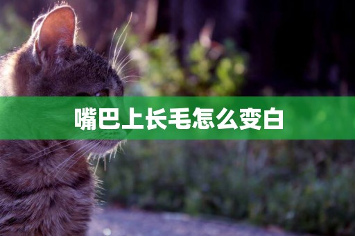嘴巴上長毛怎么變白