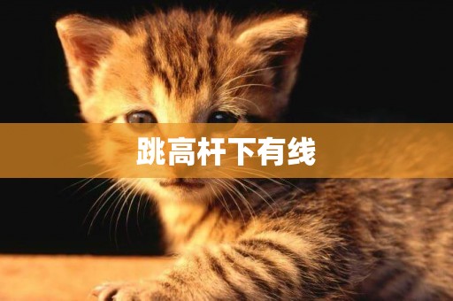 跳高桿下有線