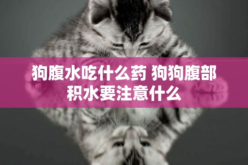 狗腹水吃什么藥 狗狗腹部積水要注意什么