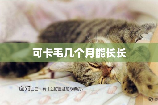 可卡毛幾個月能長長