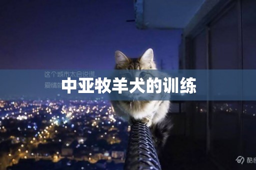 中亞牧羊犬的訓練