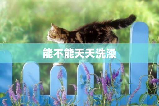 能不能天天洗澡