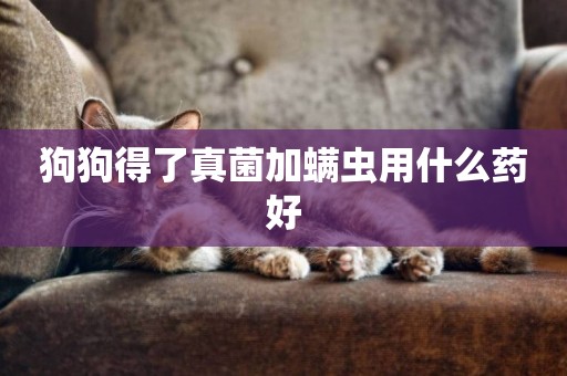 狗狗得了真菌加螨蟲用什么藥好