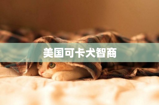 美國可卡犬智商