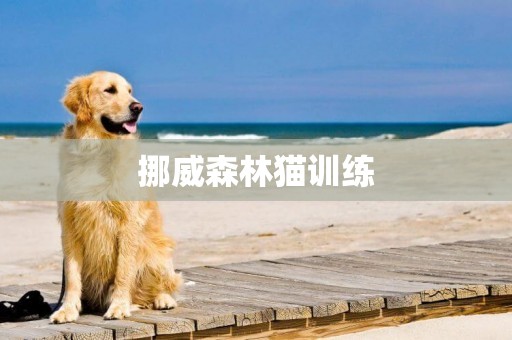 挪威森林貓訓練