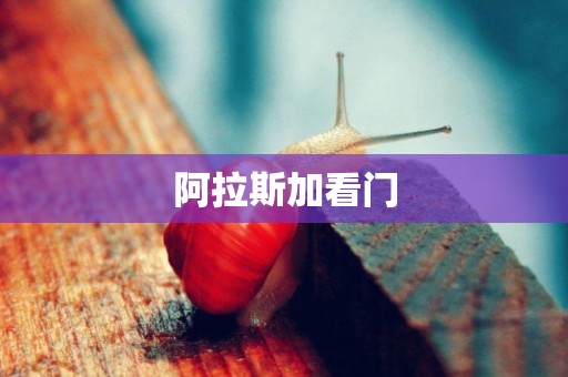 阿拉斯加看門