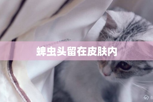 蜱蟲頭留在皮膚內