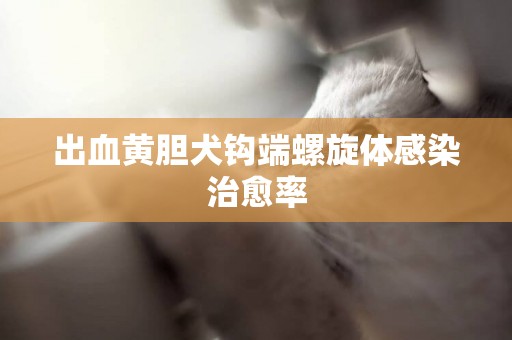 出血黃膽犬鉤端螺旋體感染治愈率