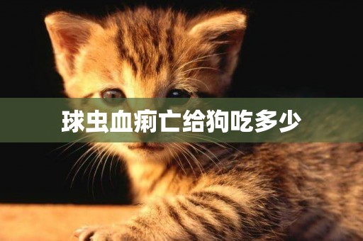球蟲血痢亡給狗吃多少