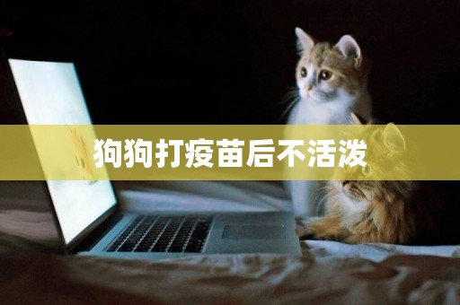 狗狗打疫苗后不活潑