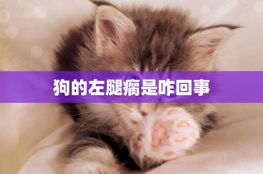 狗的左腿瘸是咋回事