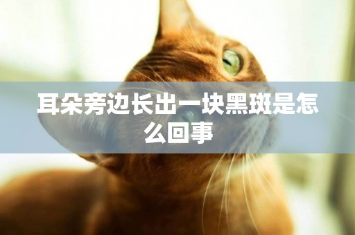耳朵旁邊長出一塊黑斑是怎么回事