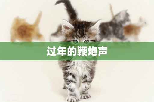 過年的鞭炮聲