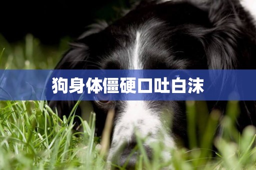 狗身體僵硬口吐白沫