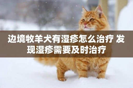 邊境牧羊犬有濕疹怎么治療 發現濕疹需要及時治療
