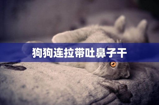狗狗連拉帶吐鼻子干