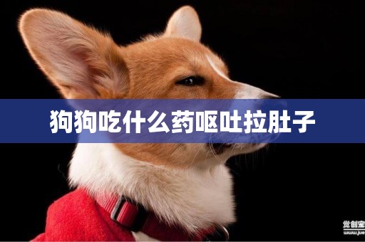 狗狗吃什么藥嘔吐拉肚子