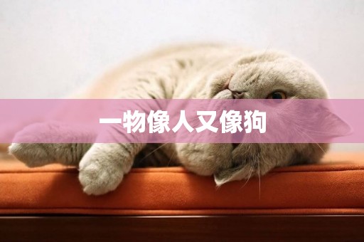一物像人又像狗