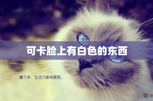 可卡臉上有白色的東西