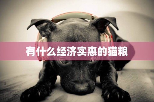 有什么經濟實惠的貓糧