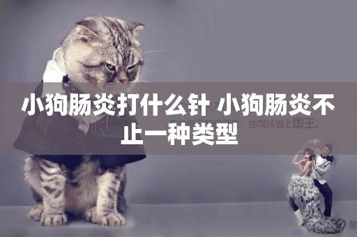 小狗腸炎打什么針 小狗腸炎不止一種類型
