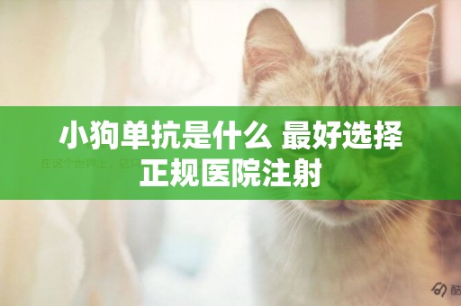 小狗單抗是什么 最好選擇正規醫院注射